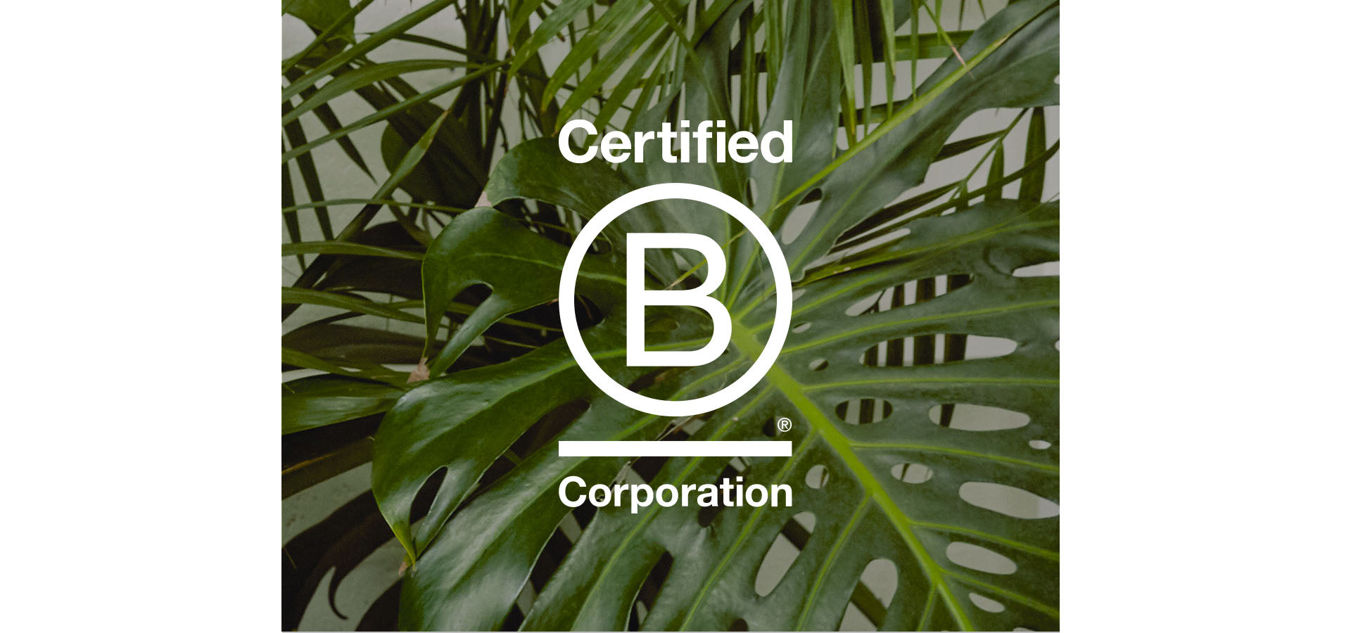 Certified B Corporation