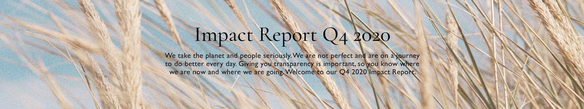 Impact report Q4 2020