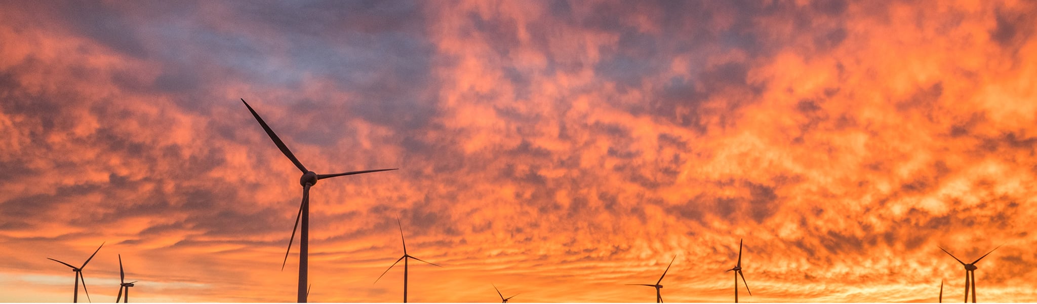 Why is COP26 so important?