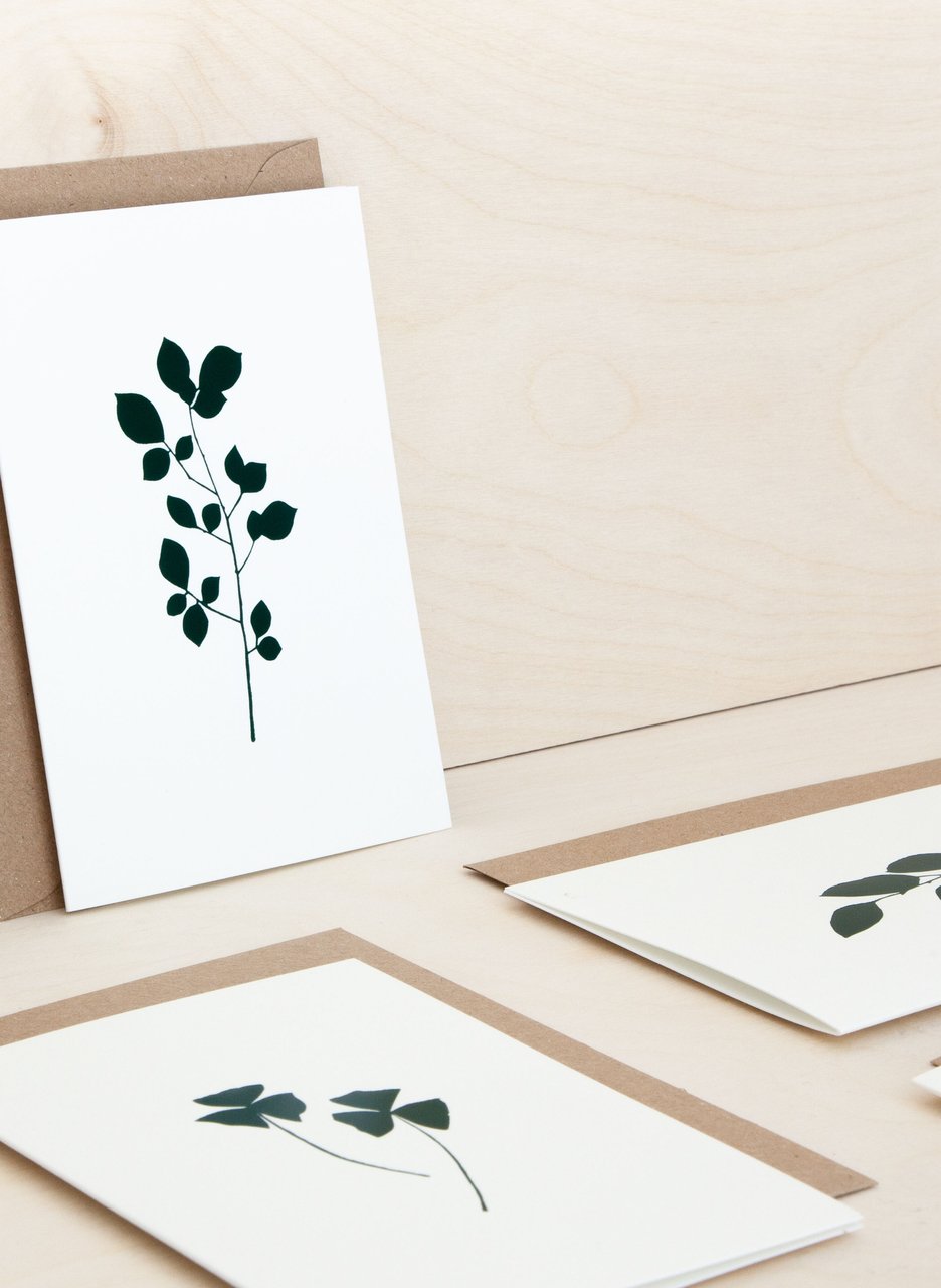 Ola Greeting Cards The Botanical Collection