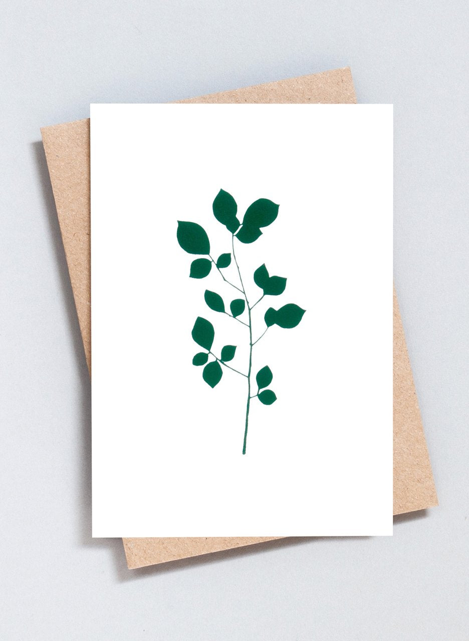 Ola Greeting Cards The Botanical Collection
