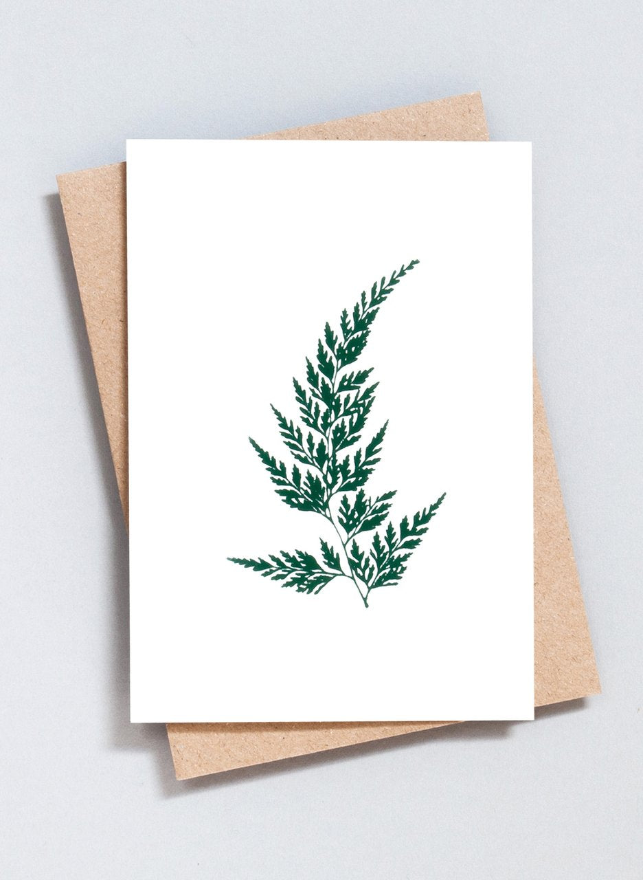 Ola Greeting Cards The Botanical Collection