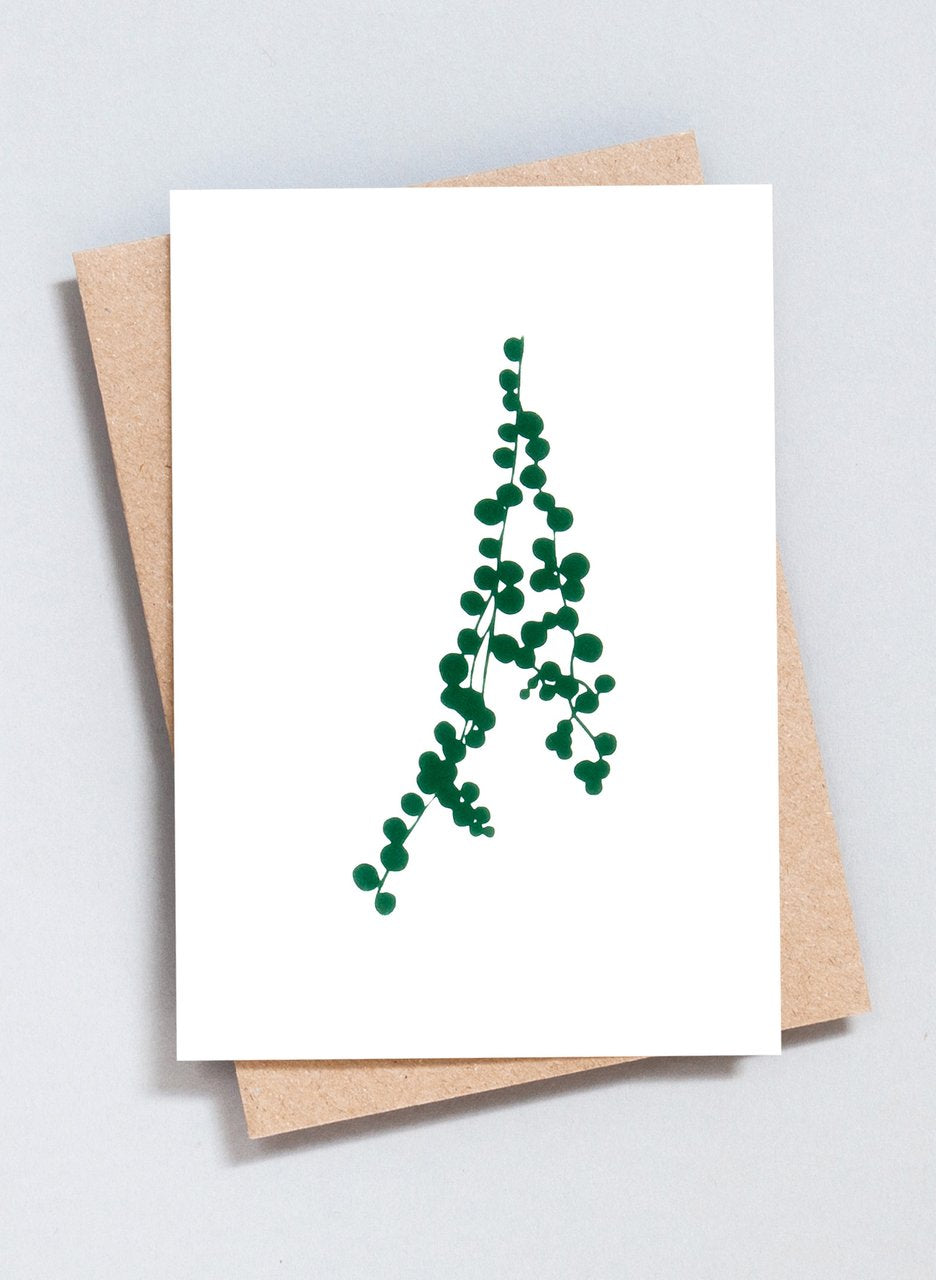 Ola Greeting Cards The Botanical Collection