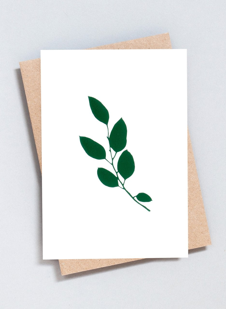 Ola Greeting Cards The Botanical Collection