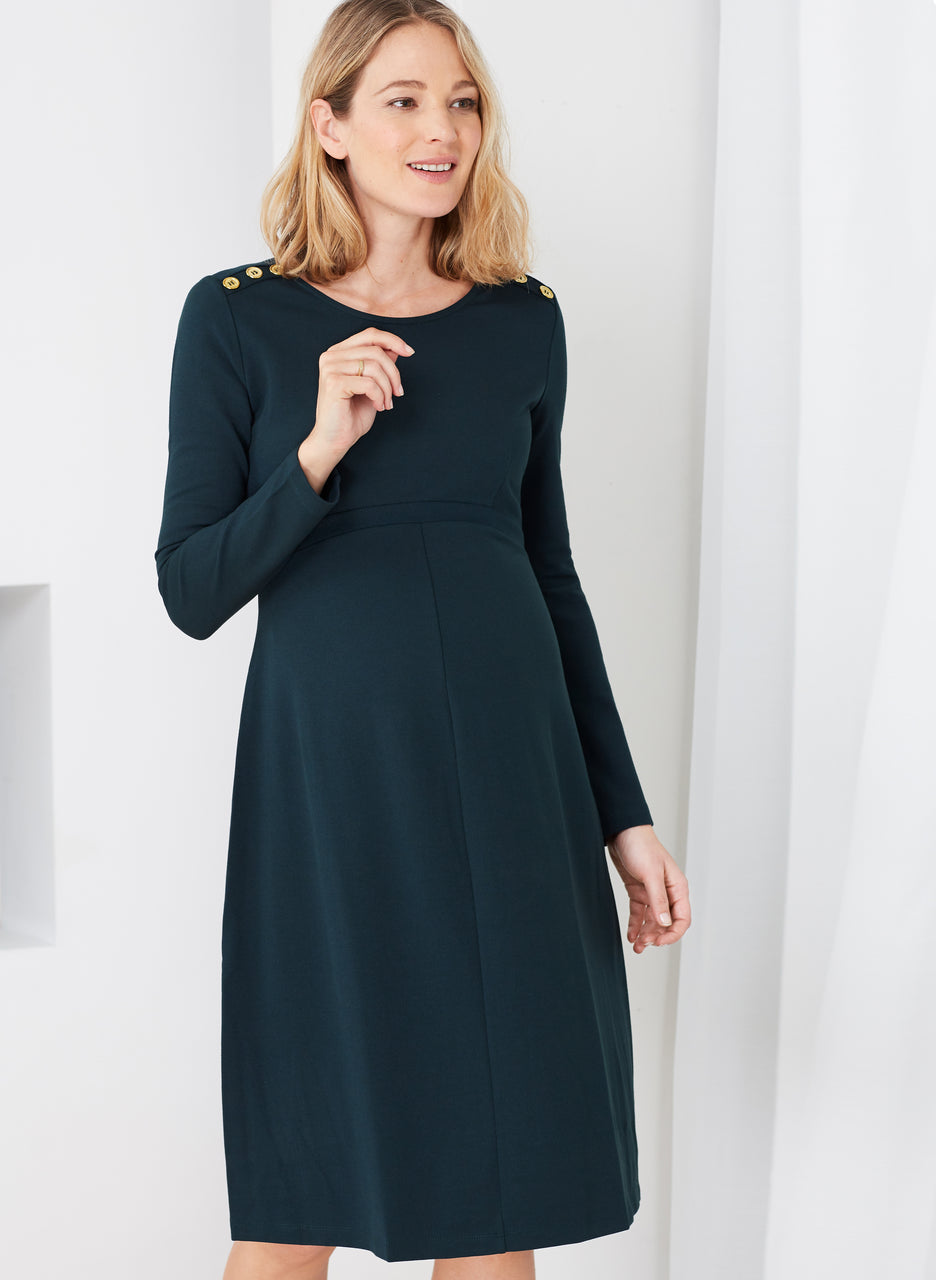 Paige Maternity Button Dress