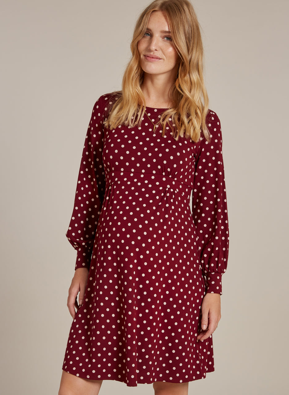 Lydia Maternity  Dress
