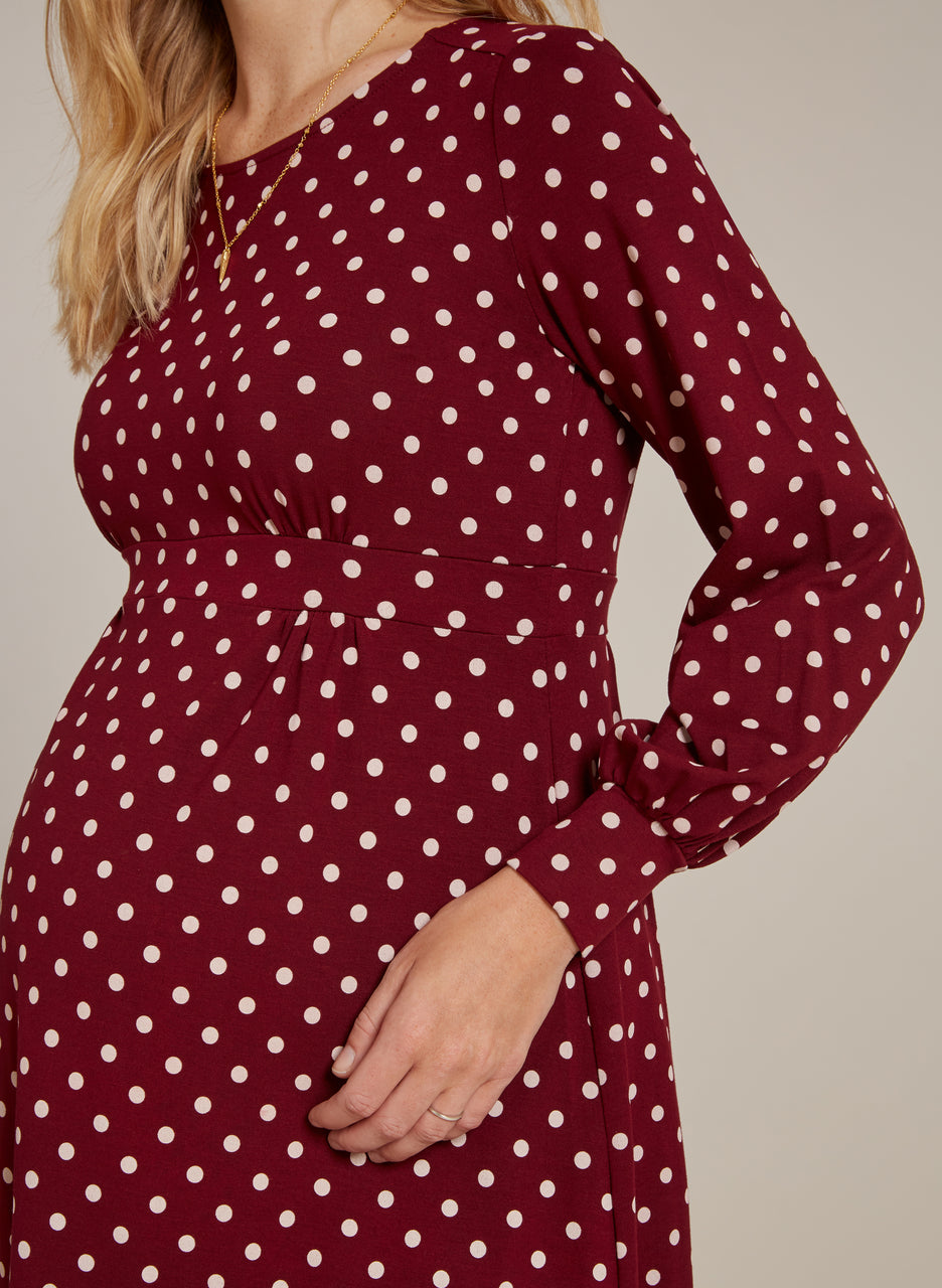 Lydia Maternity  Dress