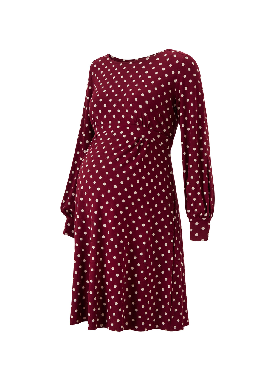 Lydia Maternity  Dress