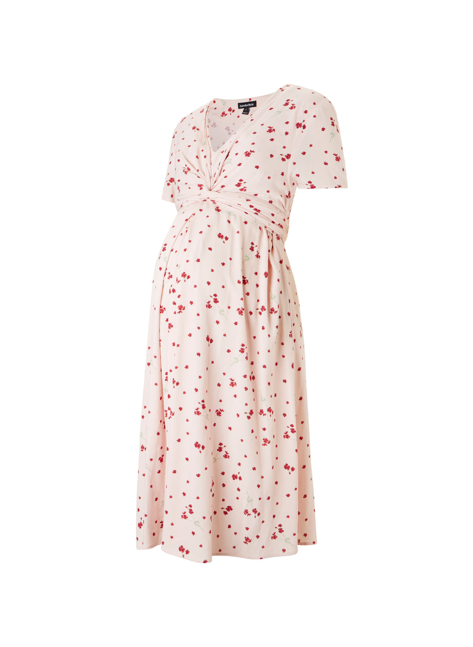Leonie Maternity Dress
