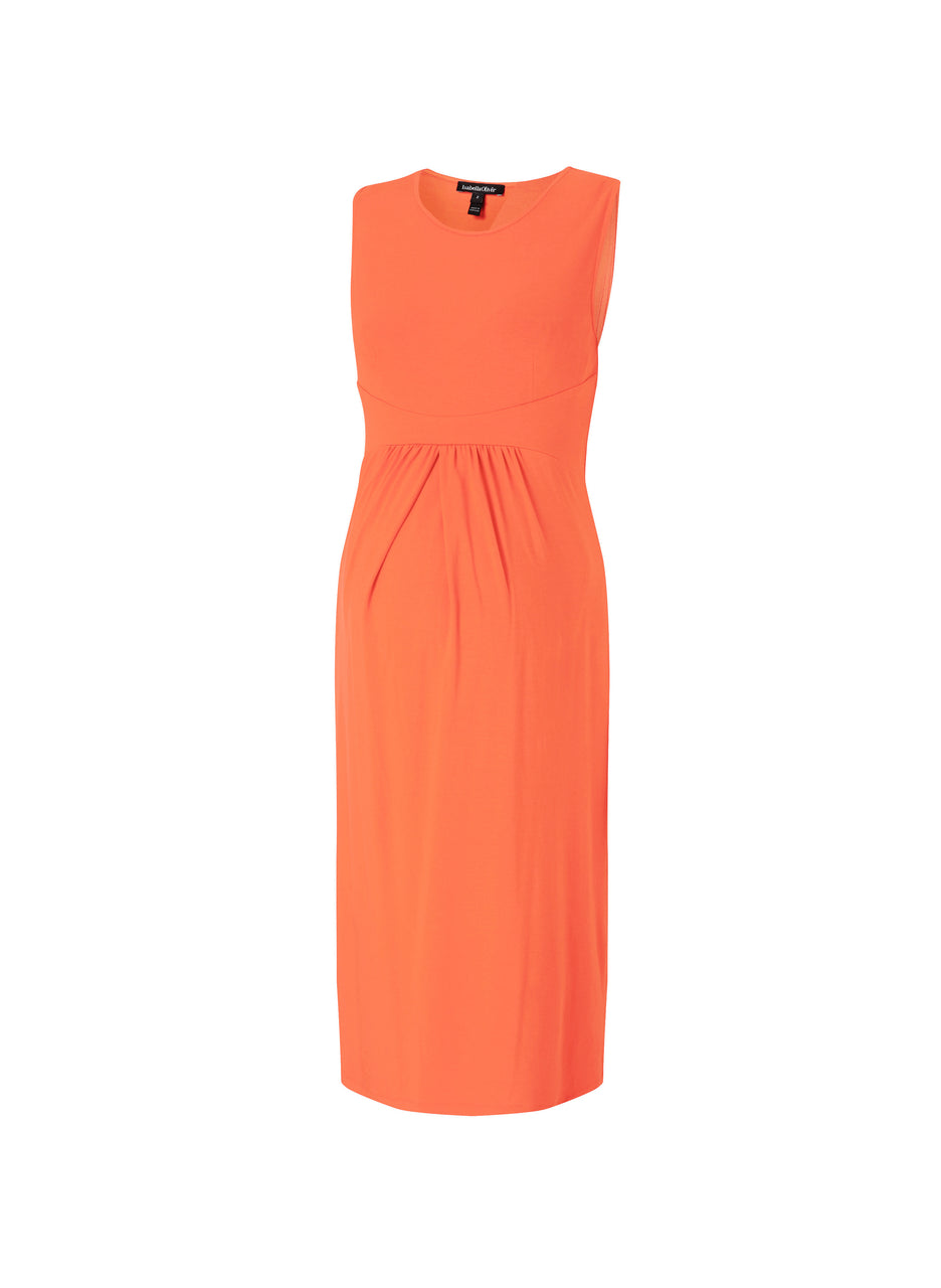 Coraline Maternity Dress